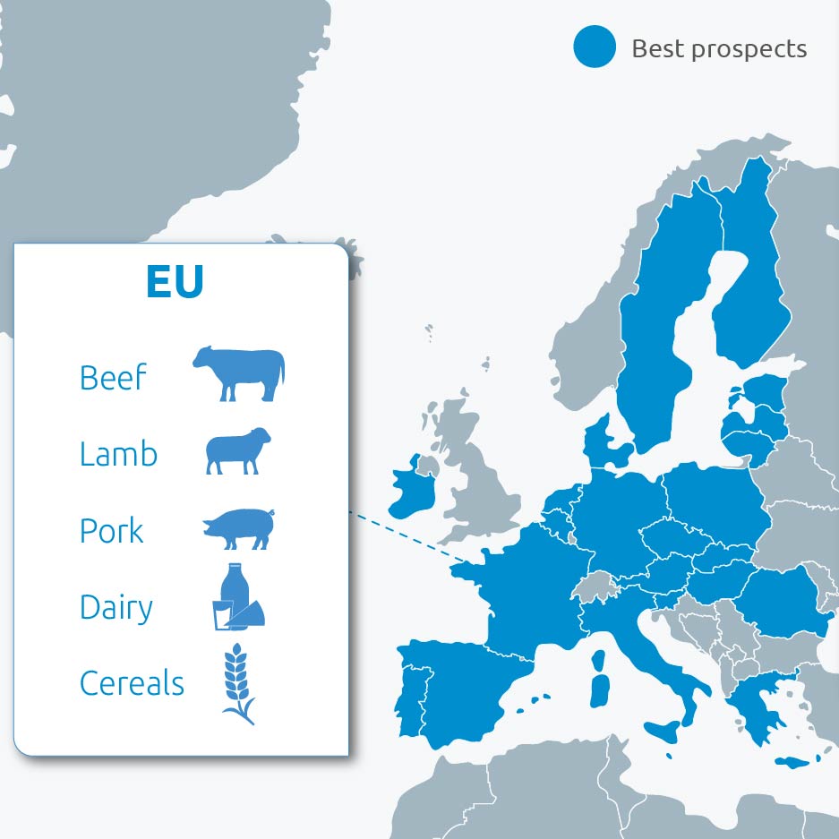 Europe map with opportunities for different sectors shaded in blue